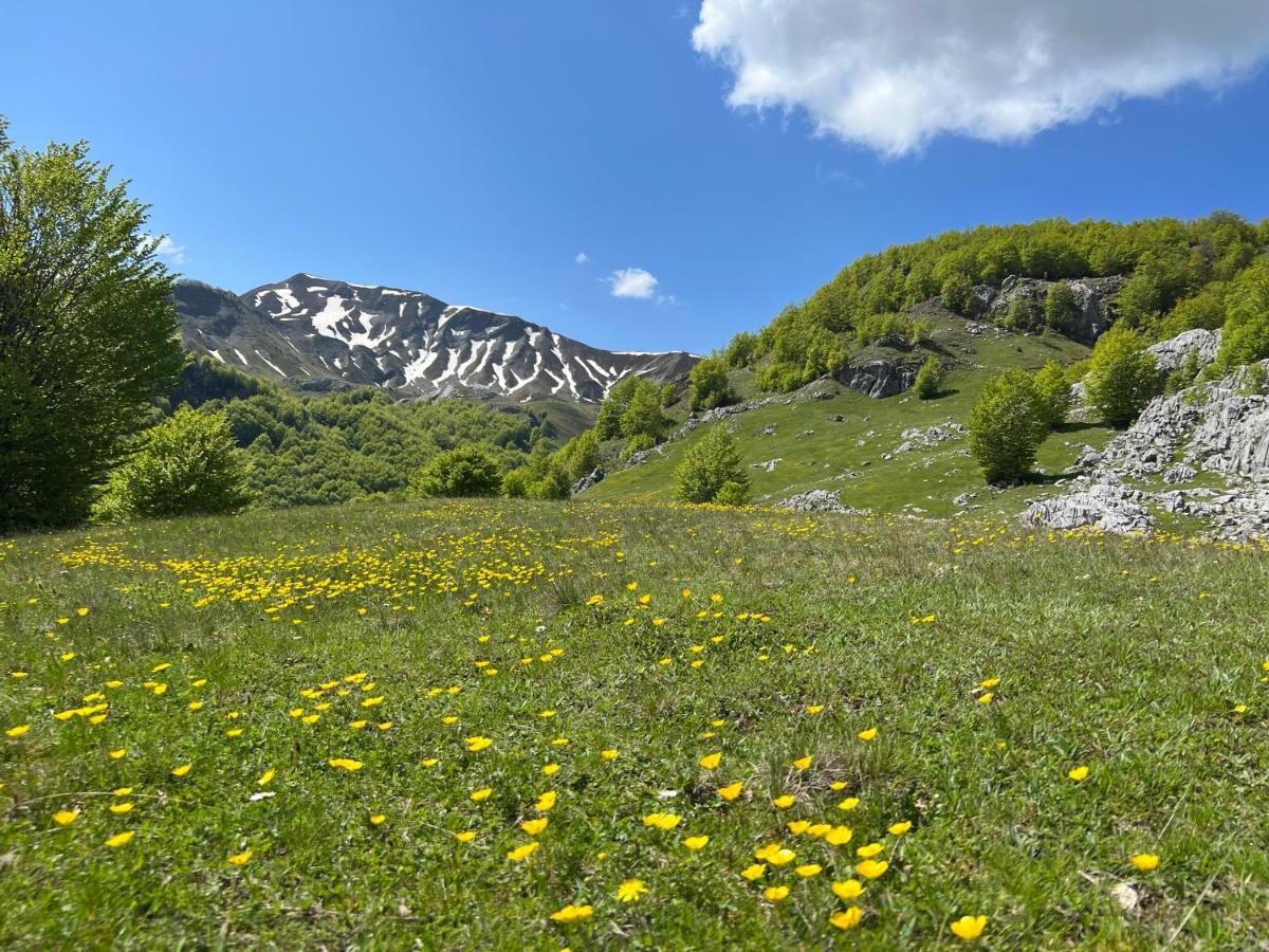 Guesthouse Alpini Lepushe Eksteriør bilde