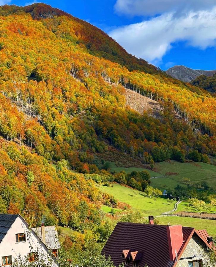 Guesthouse Alpini Lepushe Eksteriør bilde